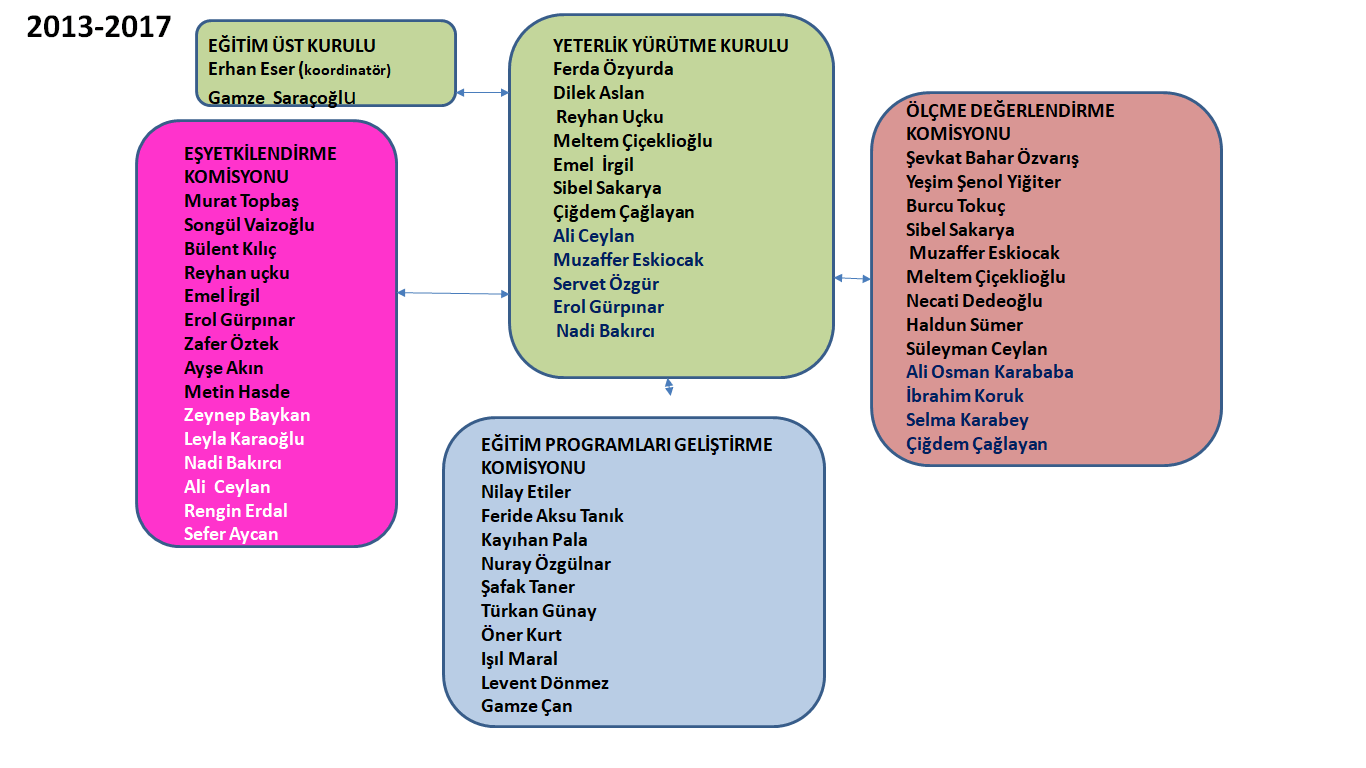 Organizasyon Şeması 2013-2017